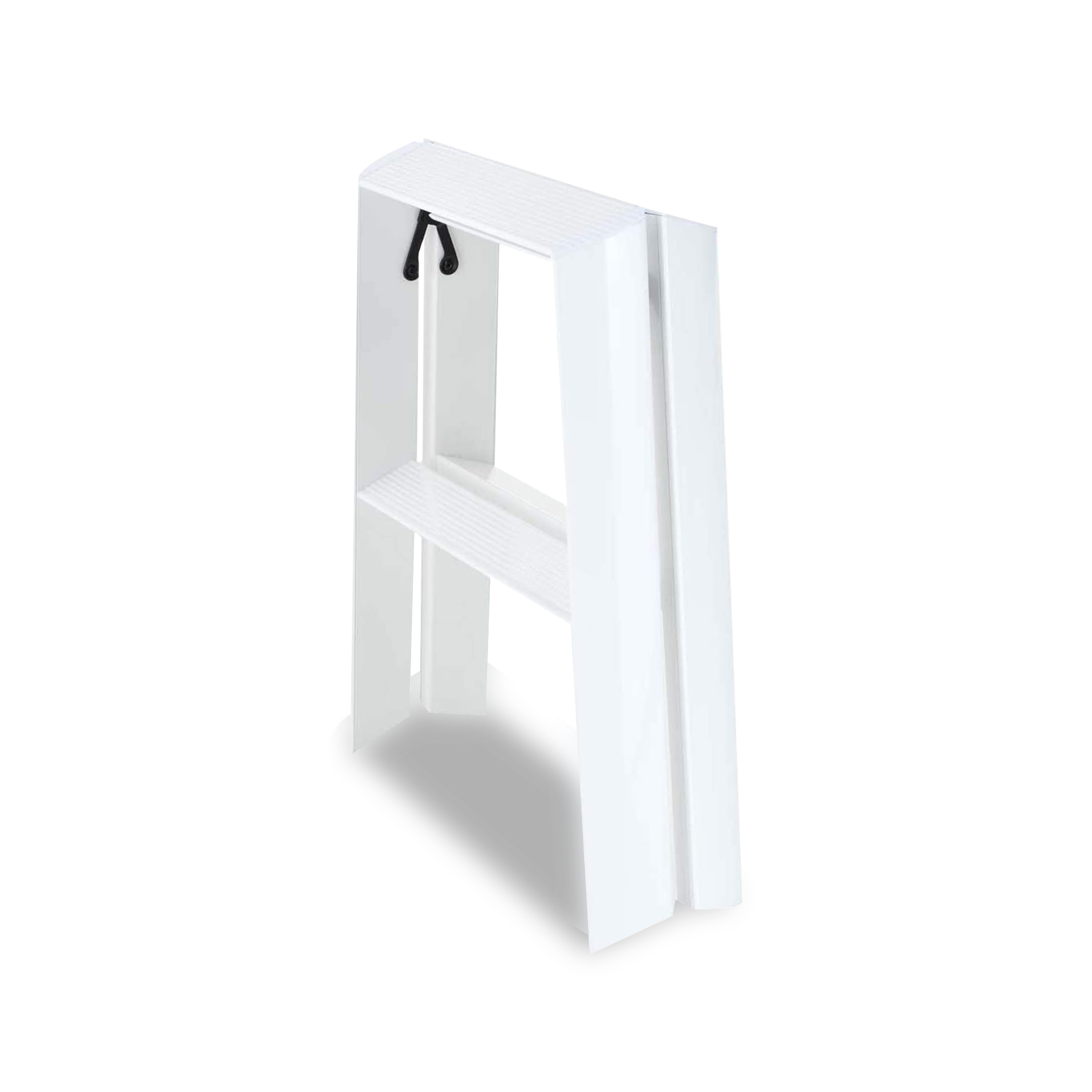 2 Step Ladder