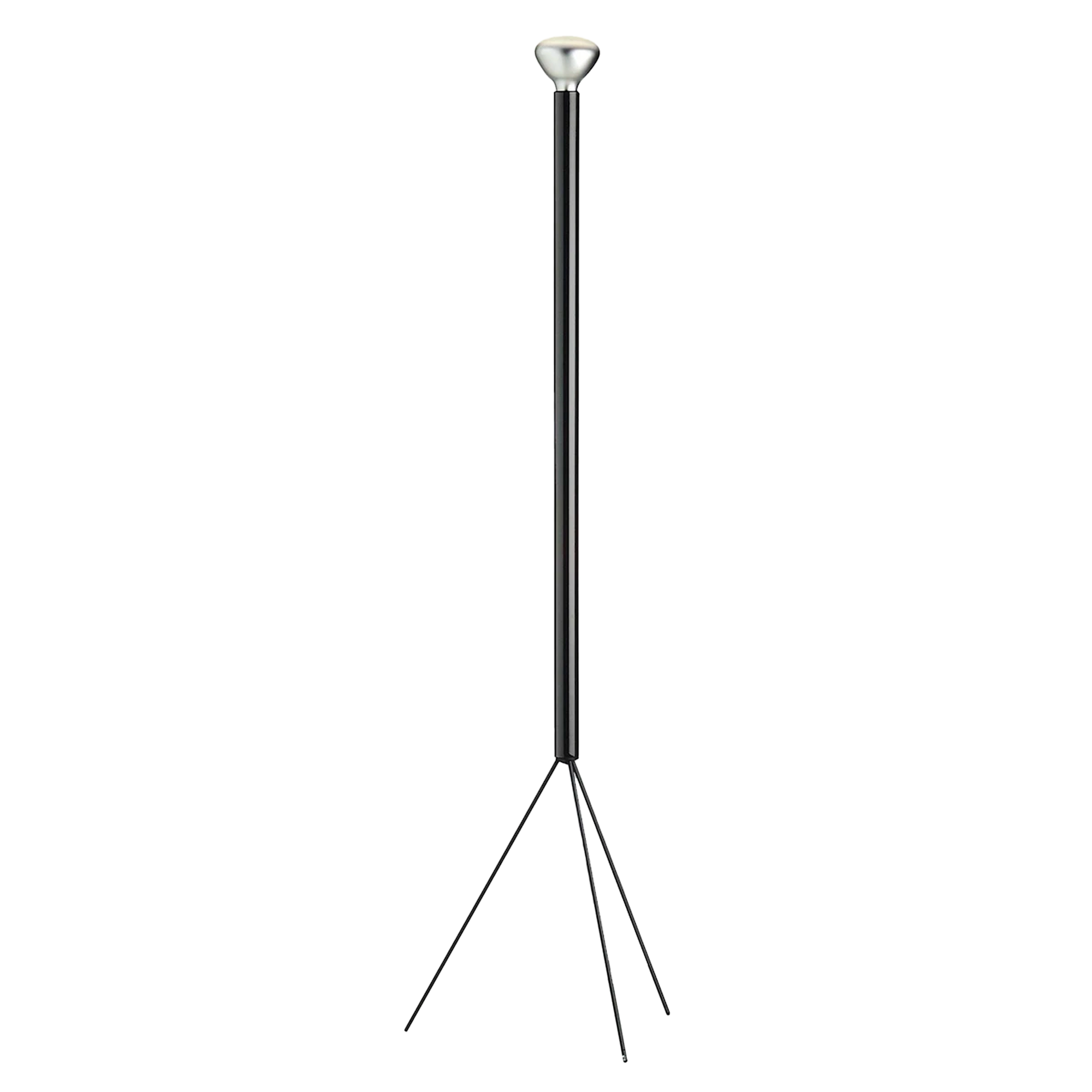 Luminator Floor Light