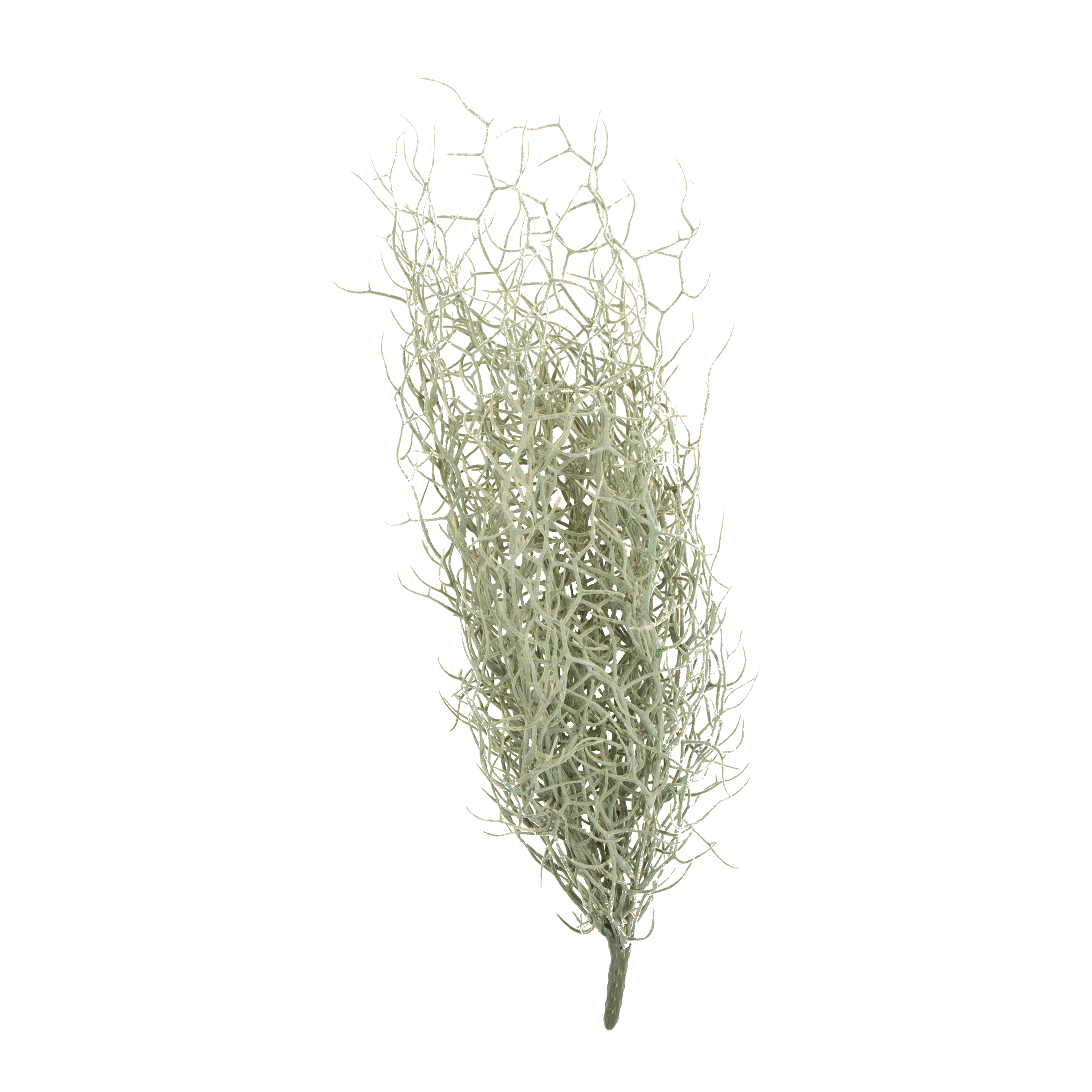 Grass Bush Stem