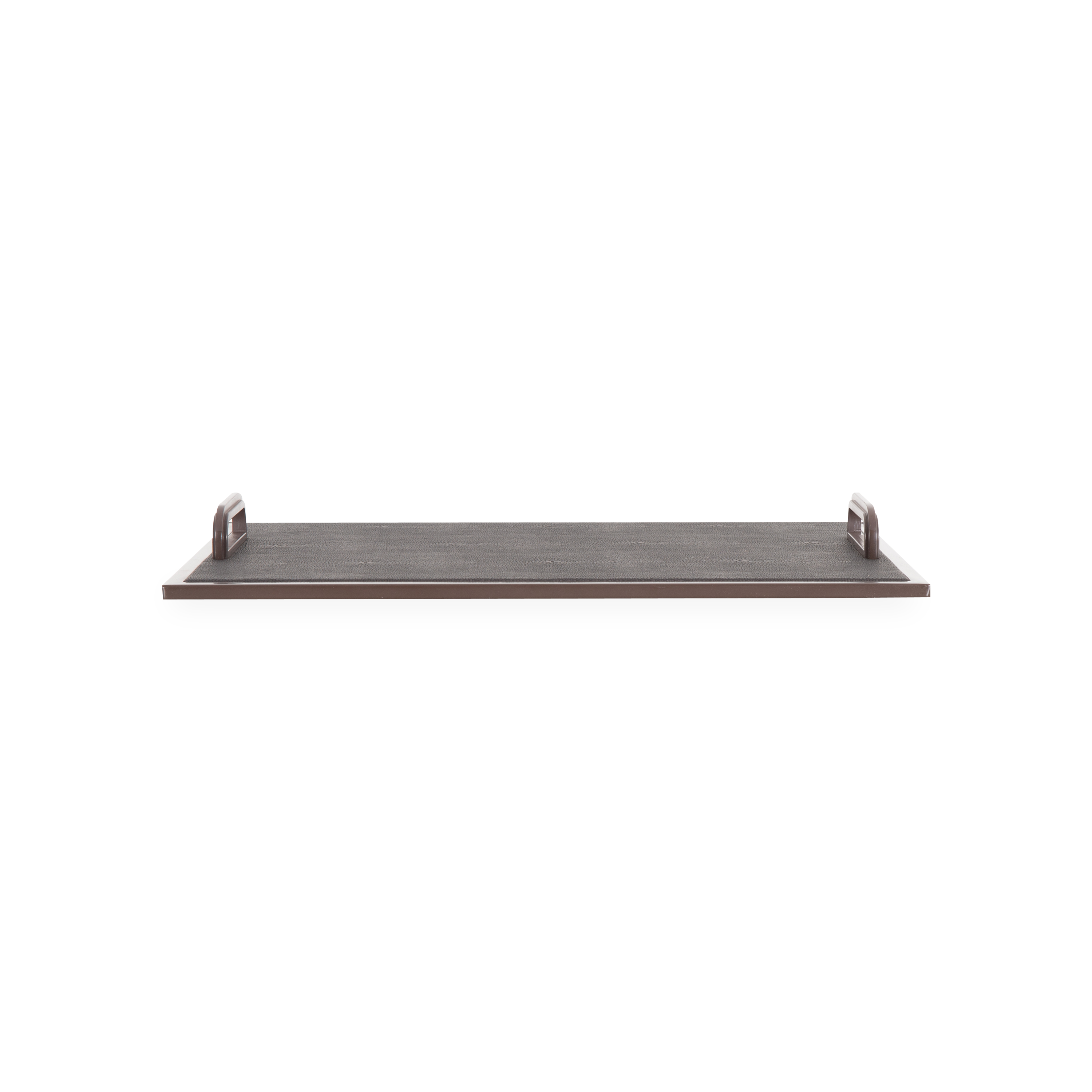 Shagreen Handle Tray