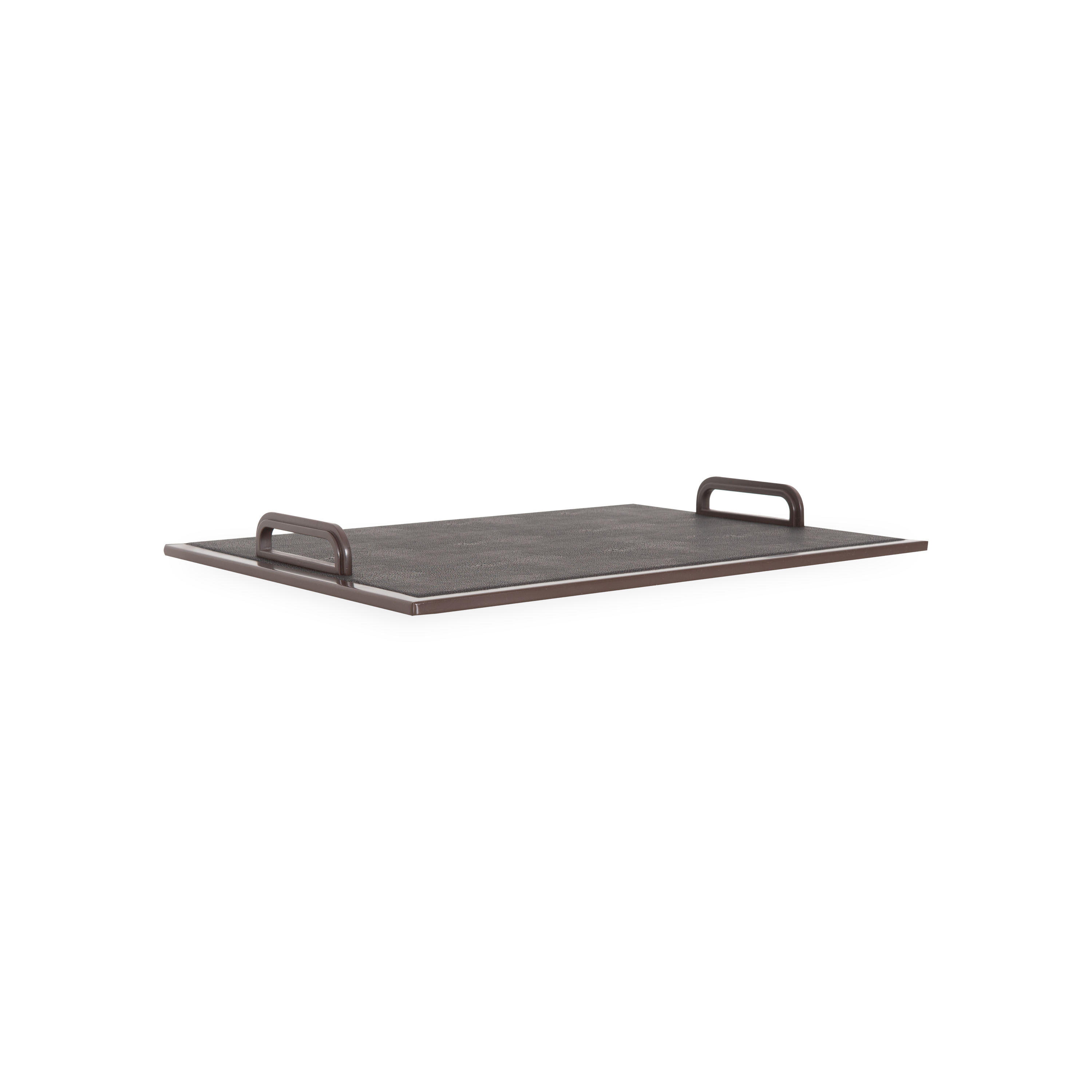Shagreen Handle Tray