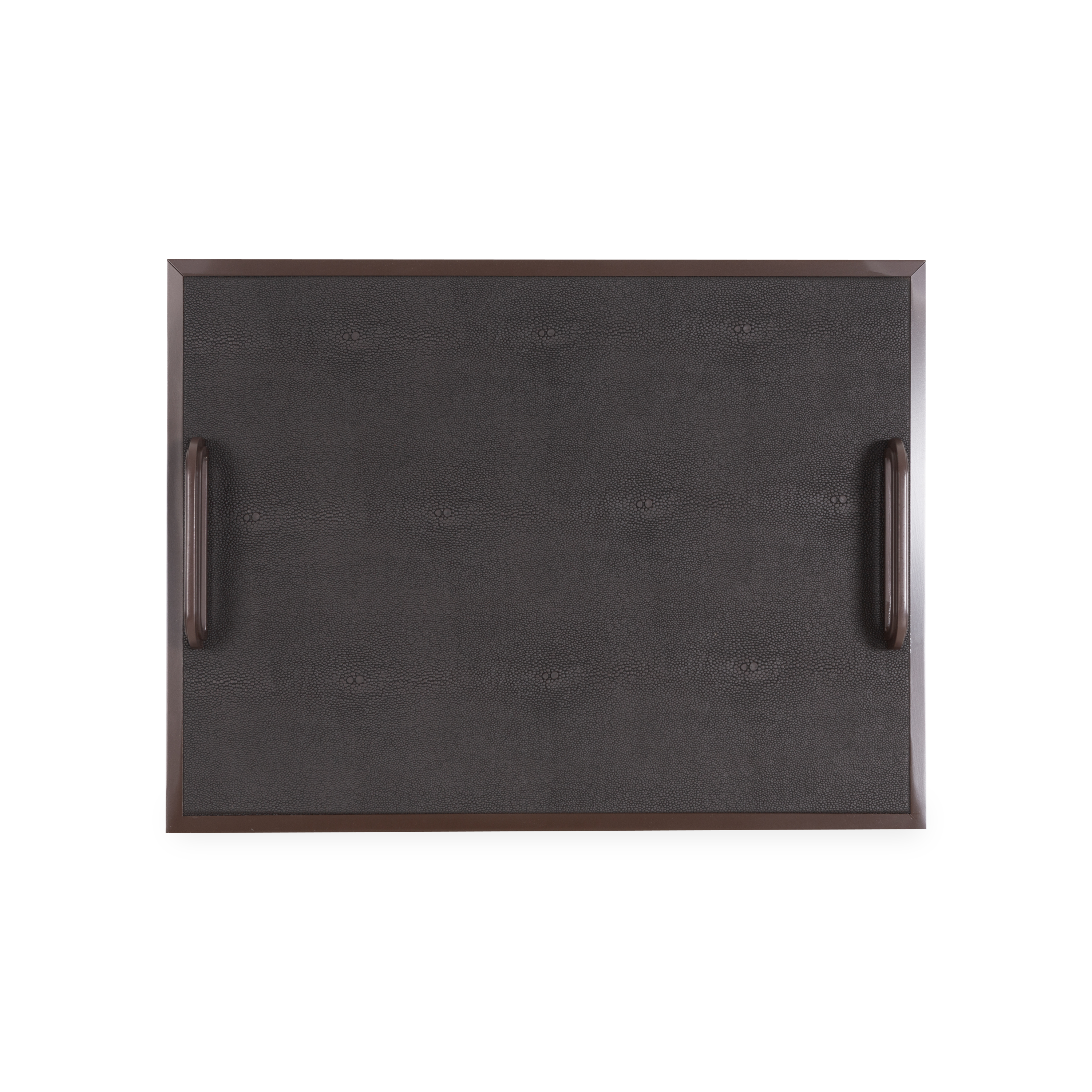 Shagreen Handle Tray