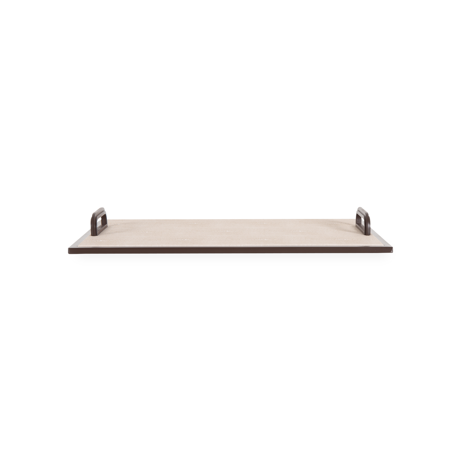 Shagreen Handle Tray