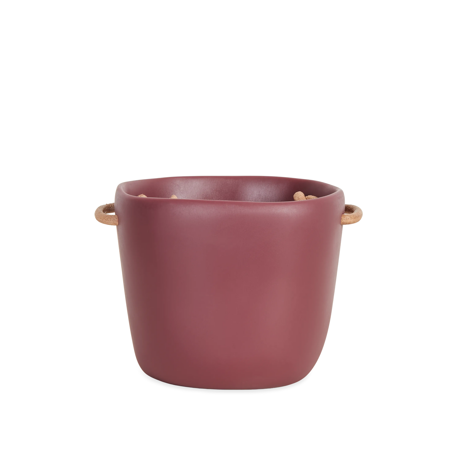 Ice Bucket
