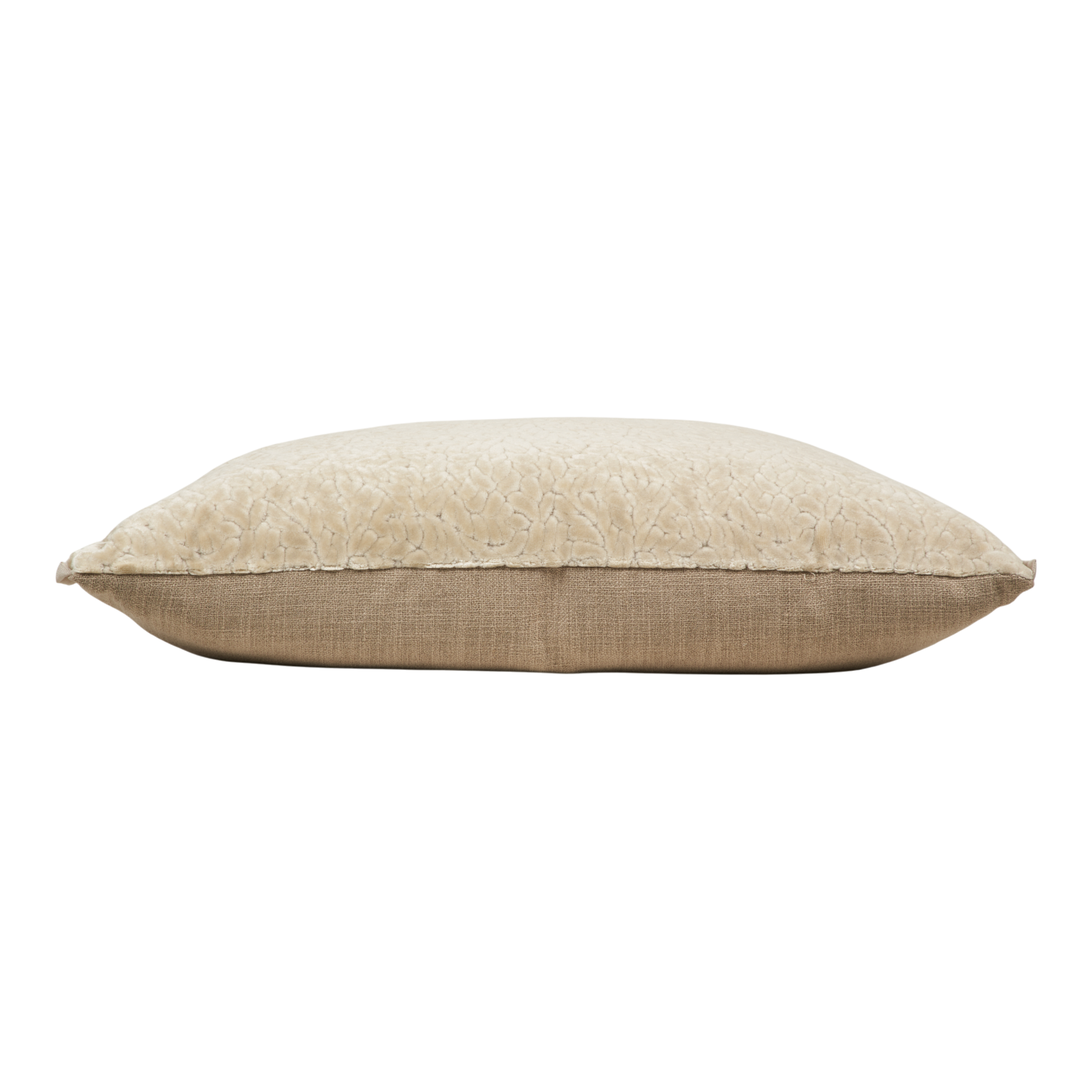 Cartouche Velvet Pillow