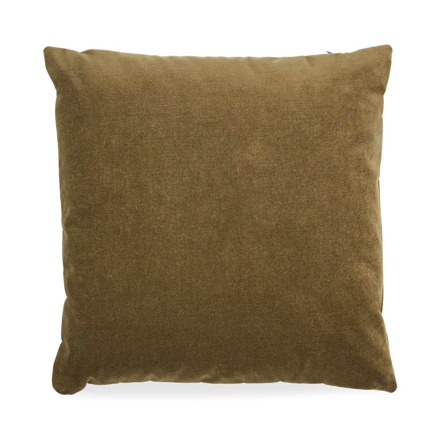 Solid Velvet Pillow