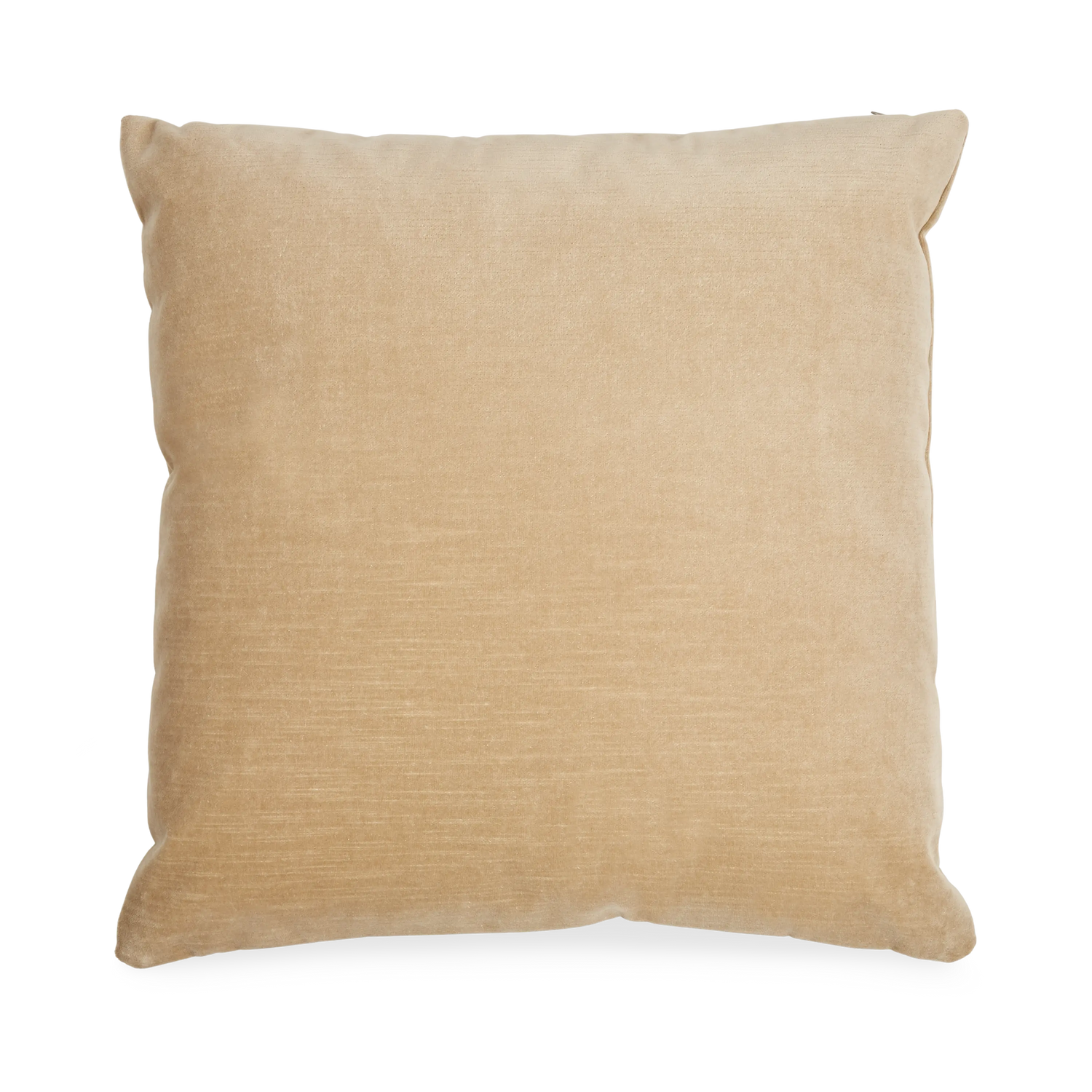Solid Velvet Pillow