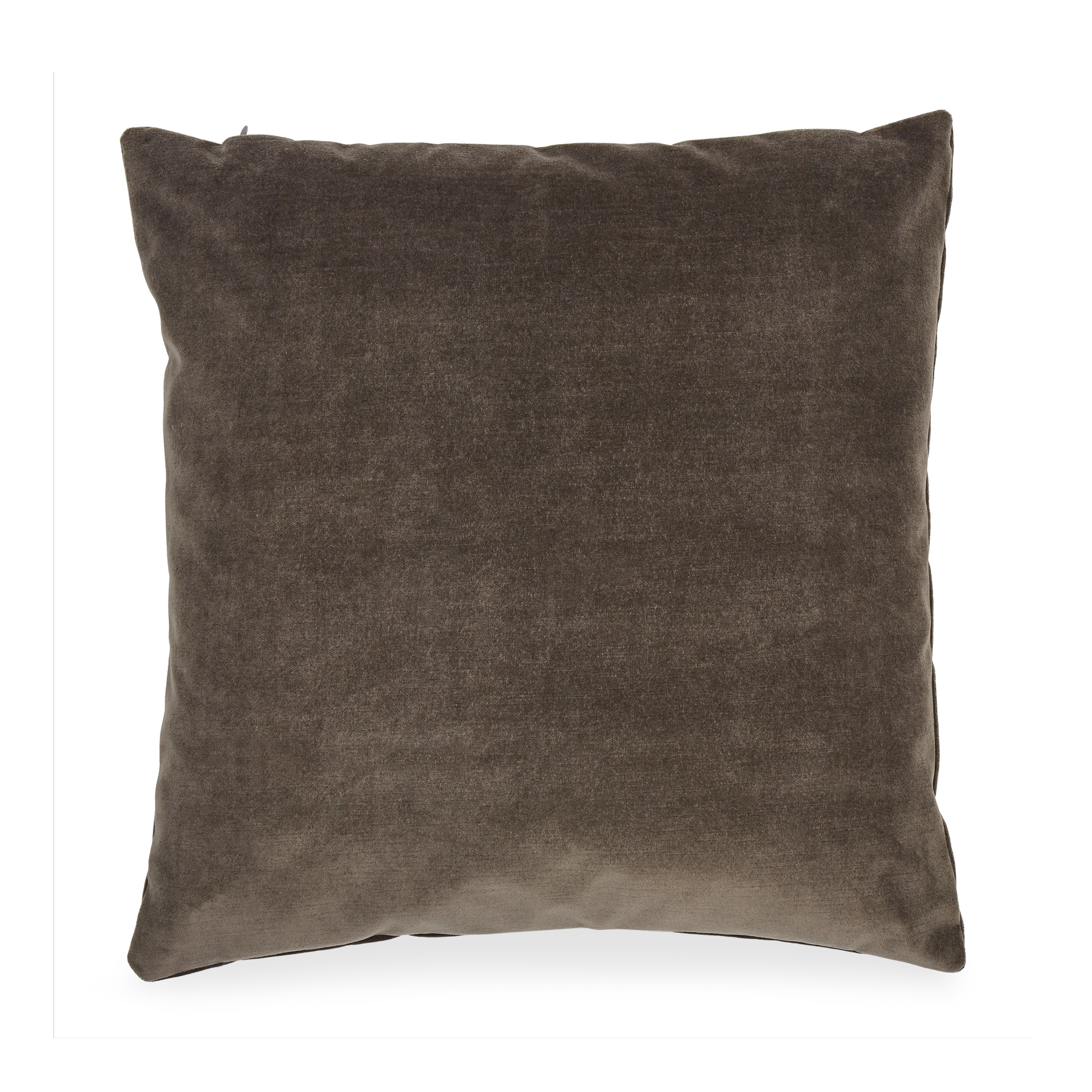 Solid Velvet Pillow