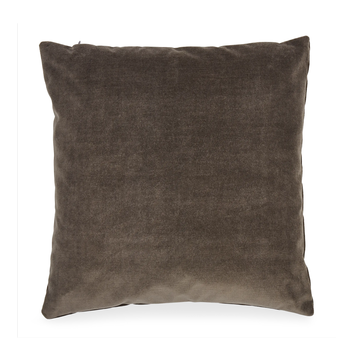 Solid Velvet Pillow