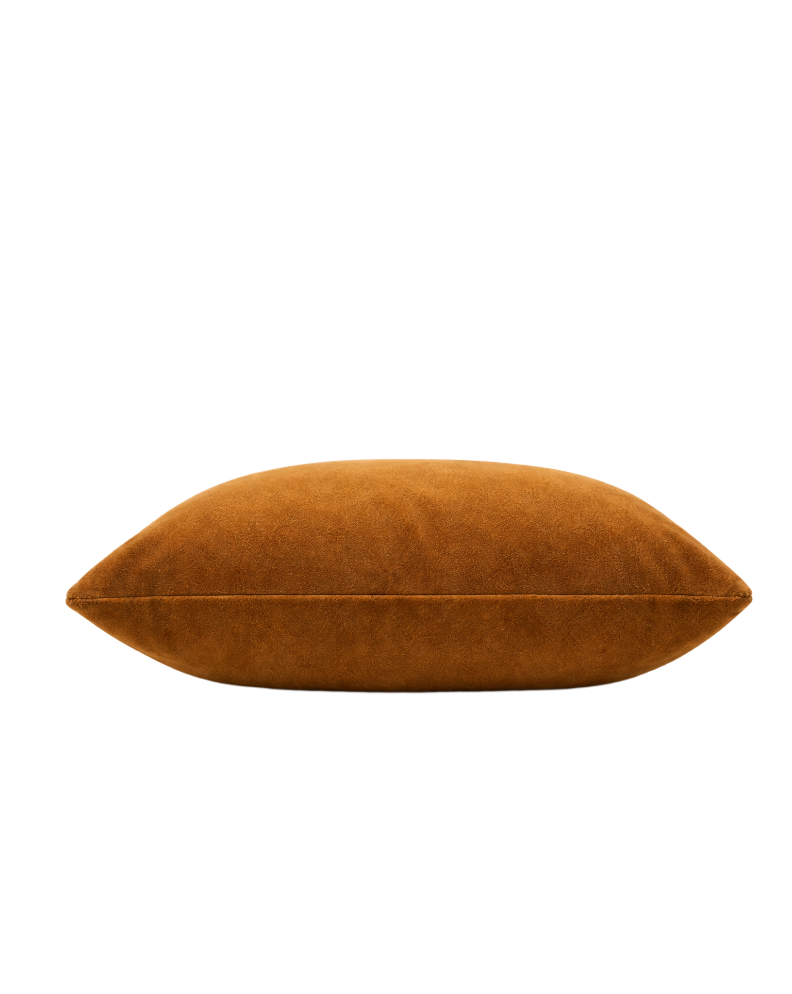 Solid Velvet Pillow
