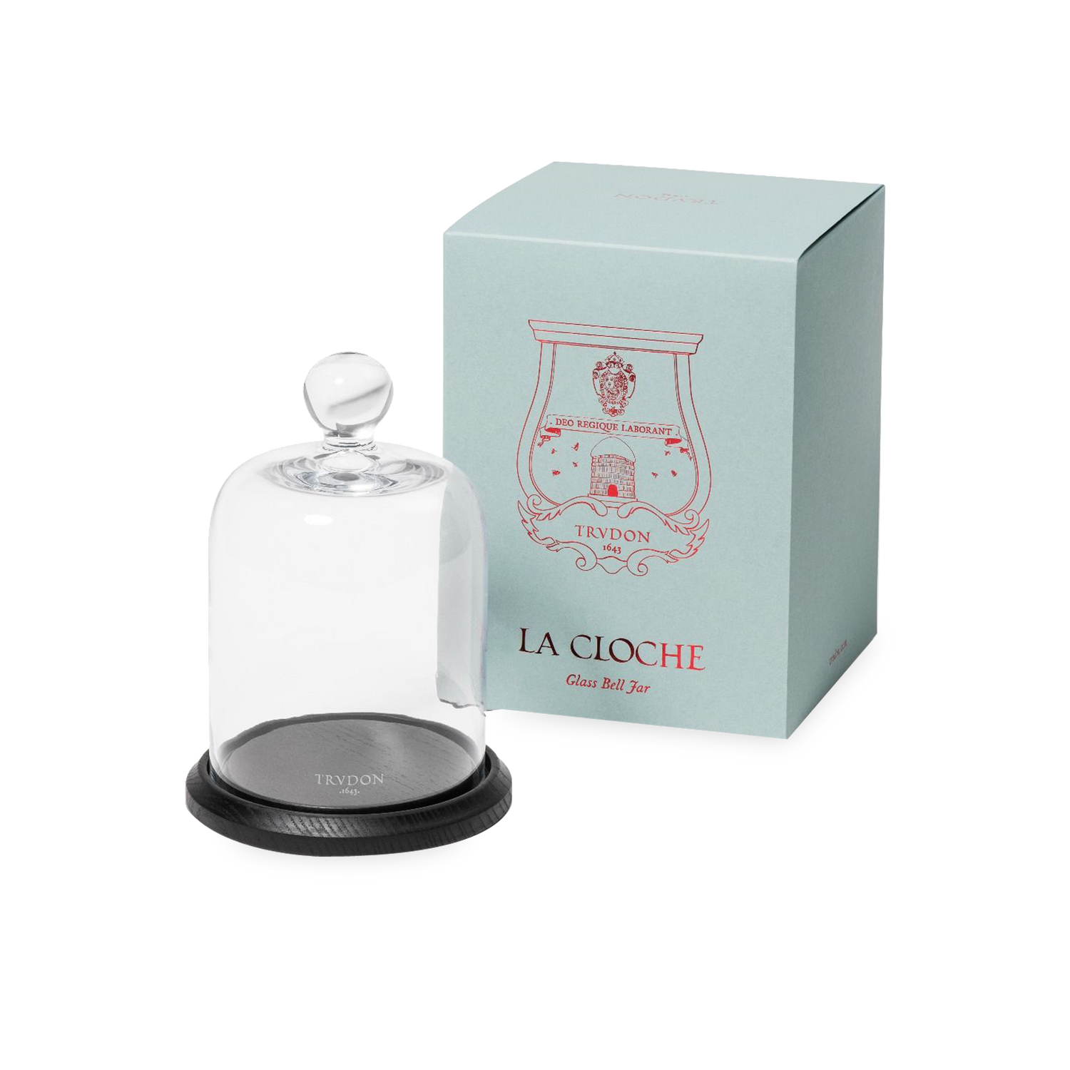 La Cloche Bell Jar and Tray