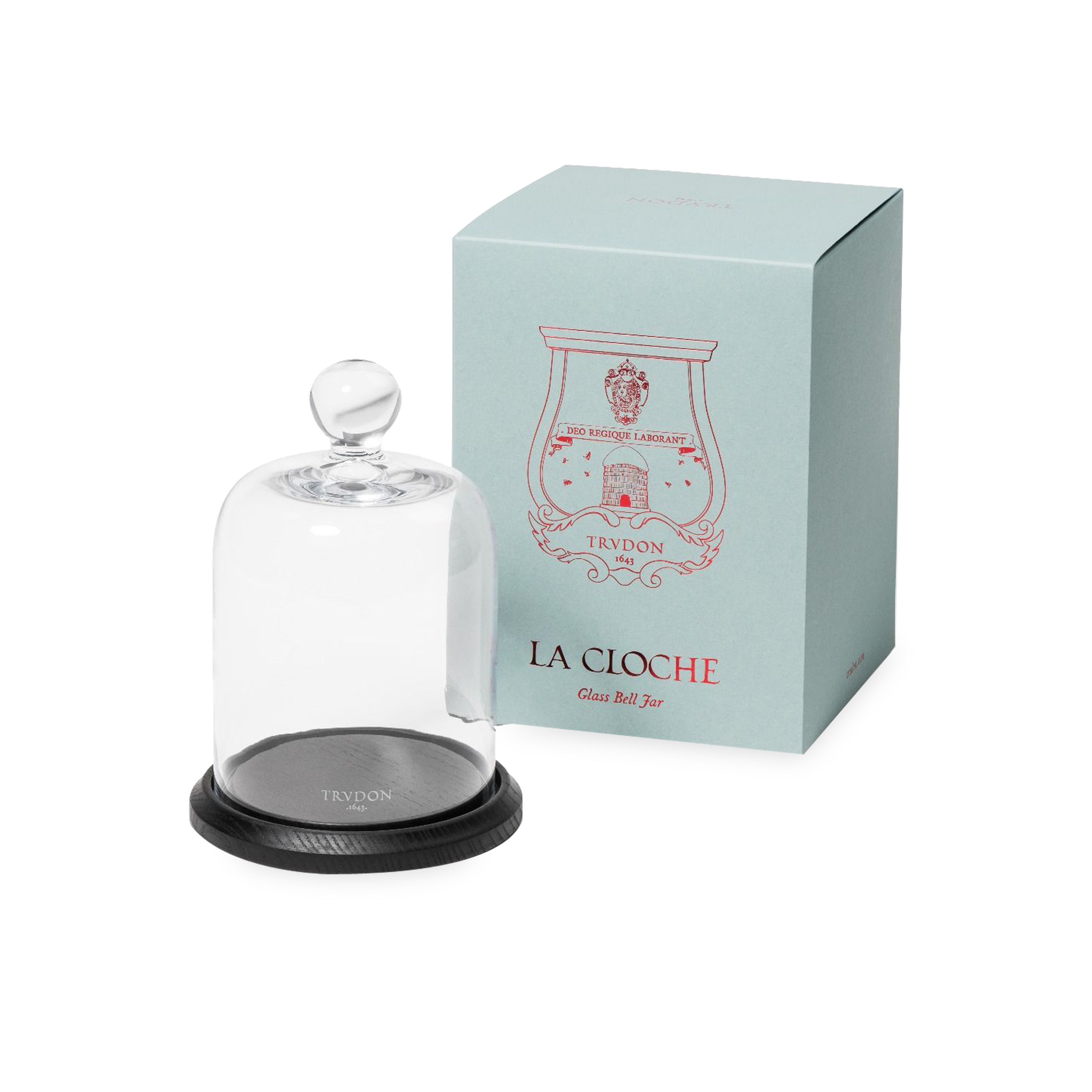 La Cloche Bell Jar and Tray