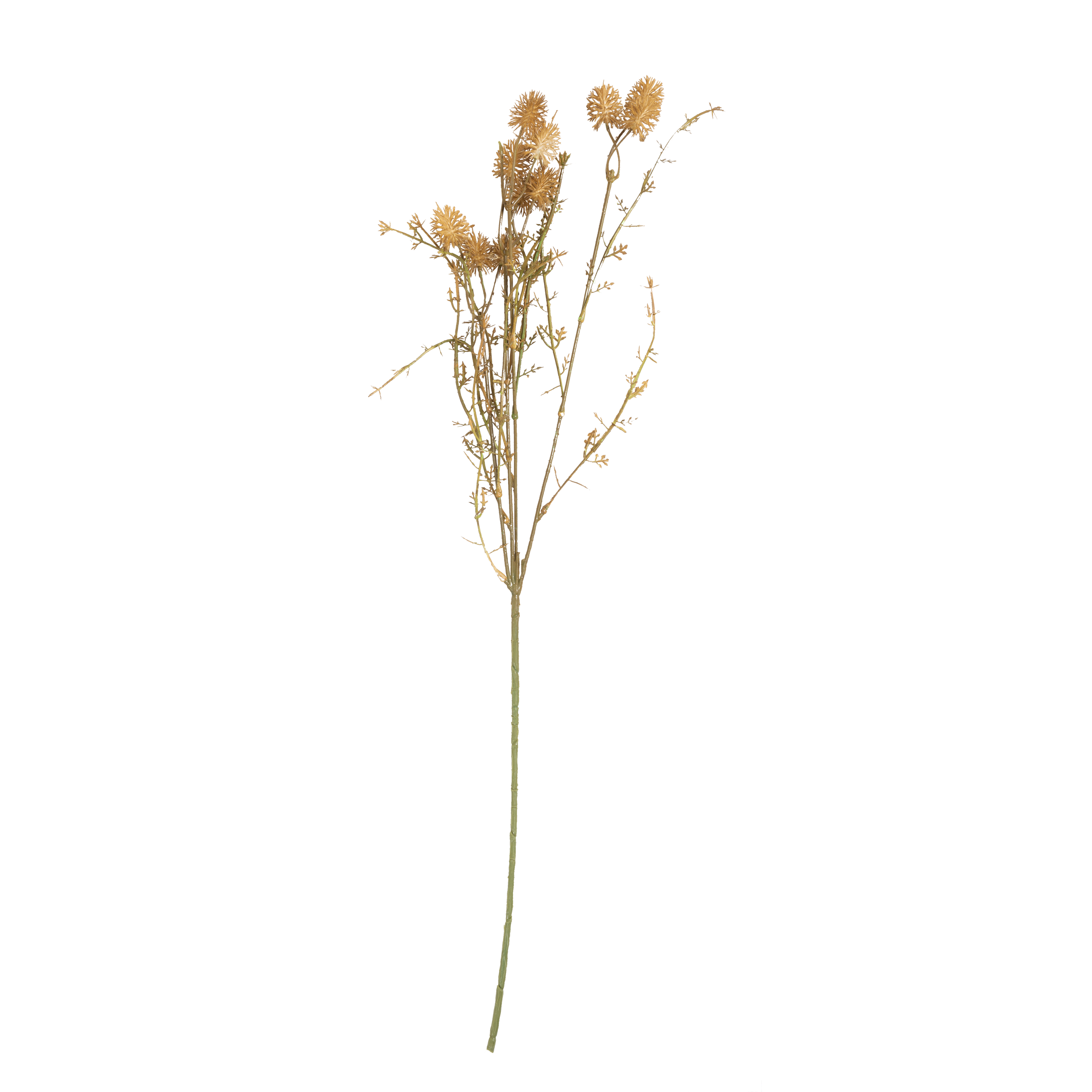 Meadow Pom Pom Stem