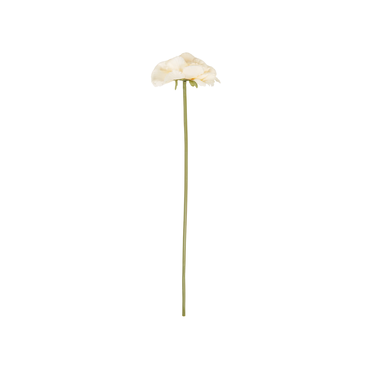 Peony Garden Stem