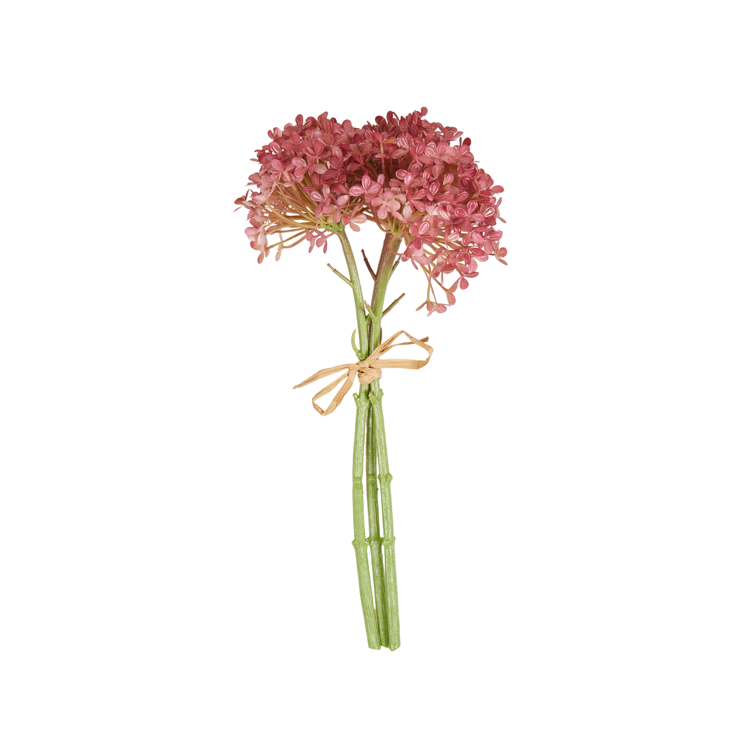 Hortensia Bunch