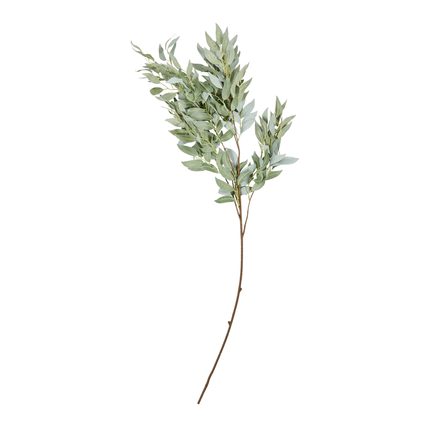 Willow Stem