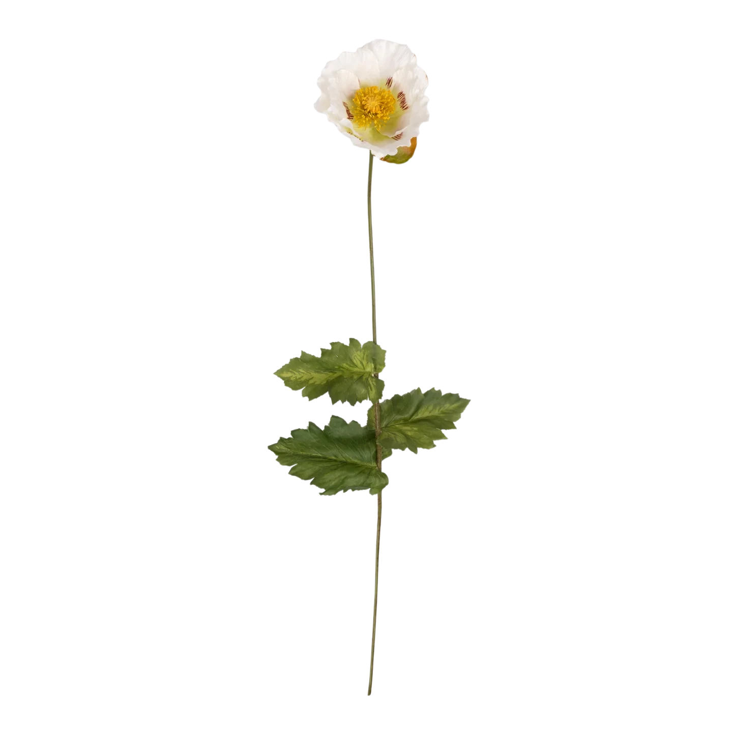 Artificial Poppy White with a delicate ivory bloom, golden centre and textured green leaves on a slender stem.